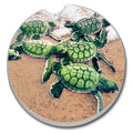 Baby Sea Turtles Stone Car Coaster Bulk