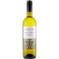 Ancora Pinot Grigio — Coastal Crisp
